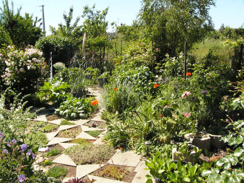 jardin des `MAL`AKHIM  Lysiane:visite_du_jardin:2009:p1340320