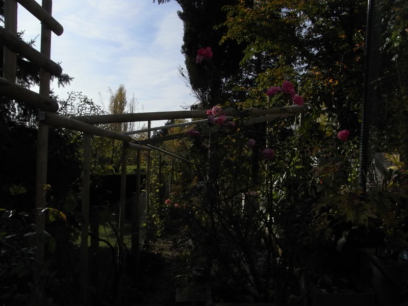 jardin des `MAL`AKHIM  Lysiane:visite_du_jardin:2009:r0013206_red