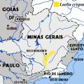 distribution_laelia_crispata.jpg
