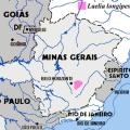 distribution_laelia_longipes.jpg