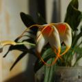 dsc_0027.jpg