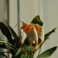 dsc_0028.jpg