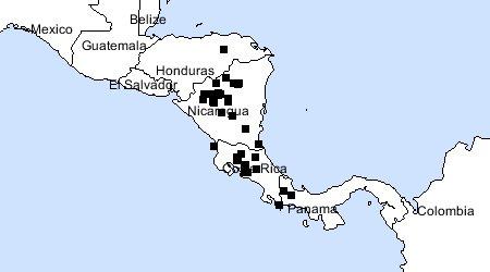 carte_prosthechea_abbreviata.jpg