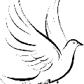colombe1.gif