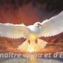 colombe_eau_feu.webp
