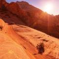 desert2.jpeg