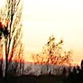dscn3525aurore.jpg