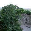 dscn0557.jpg