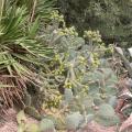 dscn0567.jpg