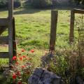 dscn10110.jpg