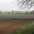 dscn4049.jpg