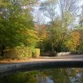 dscn5474.jpg