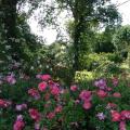 r0026055r.jpg