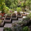 dscn10771.jpg