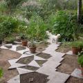 dscn3121.jpg