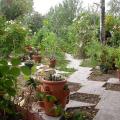 dscn3776.jpg