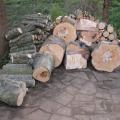 dscn7493.jpg