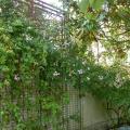 dscn7518.jpg
