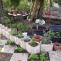 dscn8548.jpg