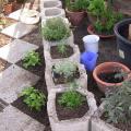 dscn8549.jpg