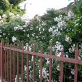 dscn8551.jpg