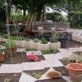 dscn8560.jpg