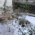 r0022946r.jpg