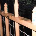 r0030576r.jpg