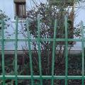 r0030606r.jpg