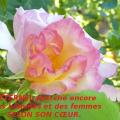 p1020217coeur.jpg