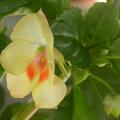 dscn3035.jpg