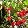 dscn3658.jpg