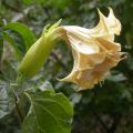 dscn3133.jpg