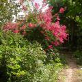 dscn3275.jpg