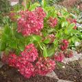 dscn5449.jpg