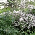 dscn5847.jpg