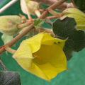 dscn7921.jpg
