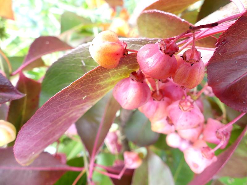 p1000491.jpg