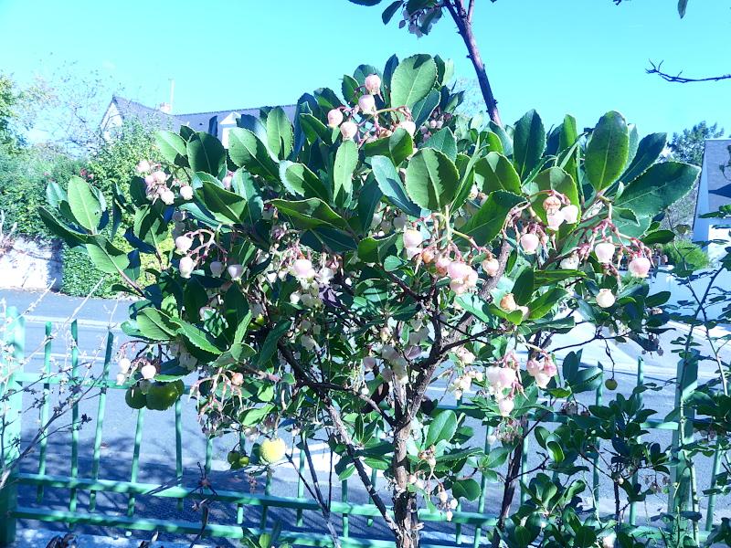 p1050103.jpg