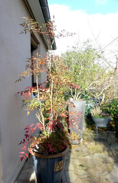 p1050235.jpg