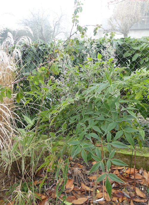 p1060878.jpg p1060878.jpg