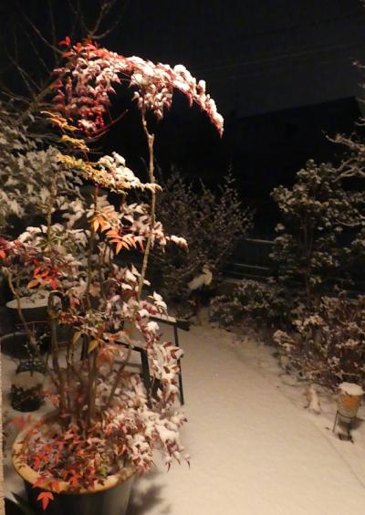 p1060909.jpg p1060909.jpg