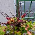 p1160061.jpg