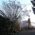 p1290036.jpg