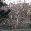r0023283r.jpg