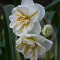 dscn0773_n_sir_w_churchill.jpg