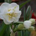 dscn0775.jpg