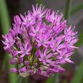 dscn0874.jpg