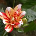 dscn10232.jpg