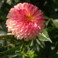 dscn3157.jpg